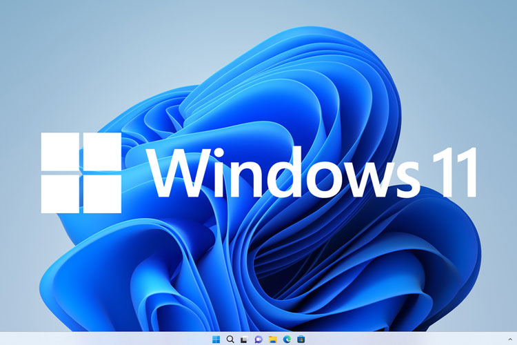 Microsoft Windows - der Klassiker